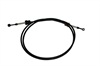 <b>:</b> 20545966<br/>