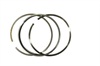 <b>IVECO:</b> 2992157<br/><b>IVECO:</b> 299 2157<br/>